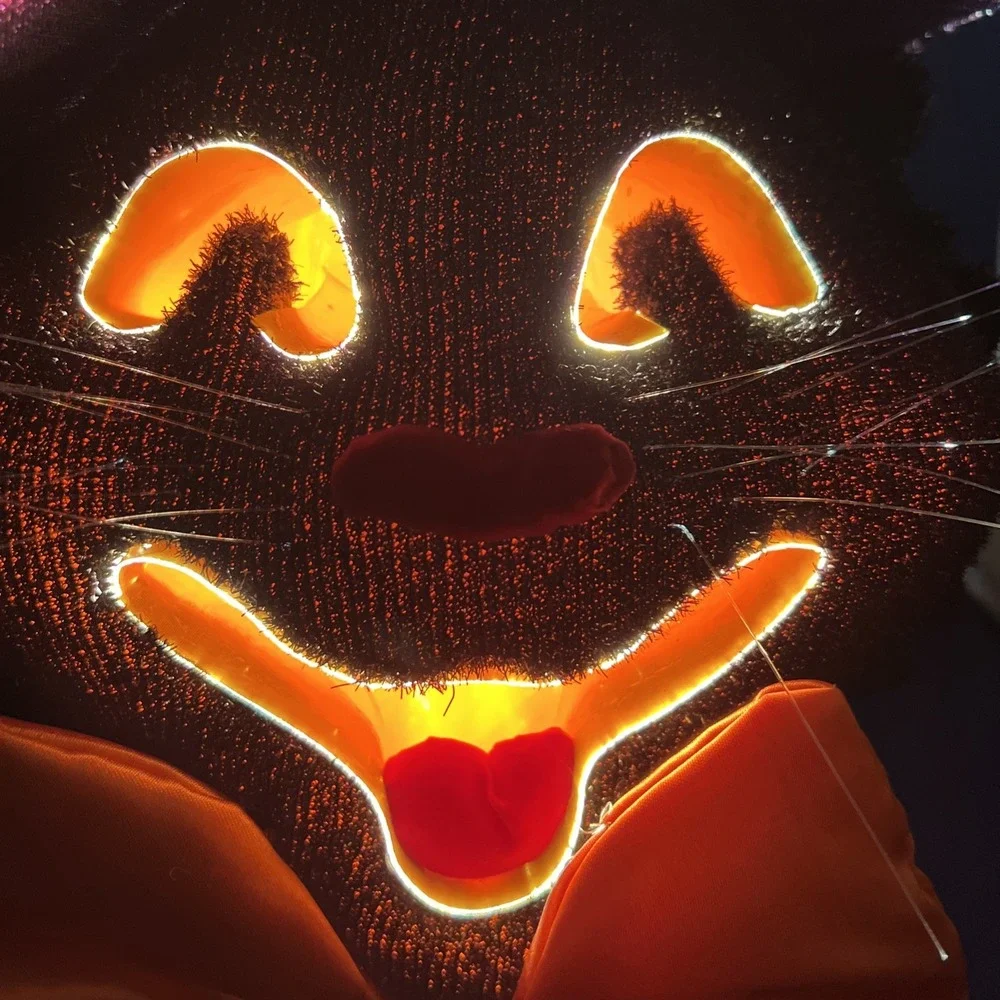Dept 56 Halloween Black Cat Bow Tie Color Changing FIBER OPTIC Vintage 14x12